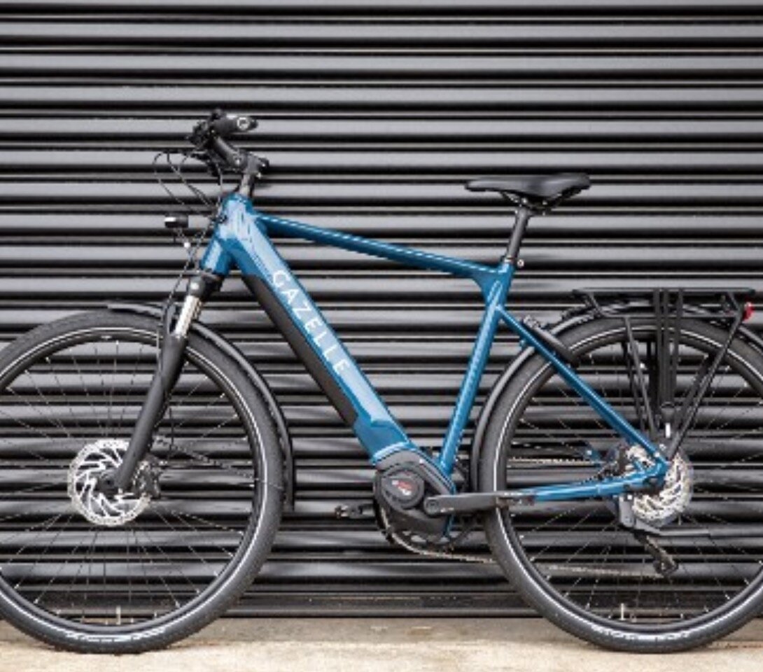 Gazelle T10+ | Shop www.jardimartimoniz.pt