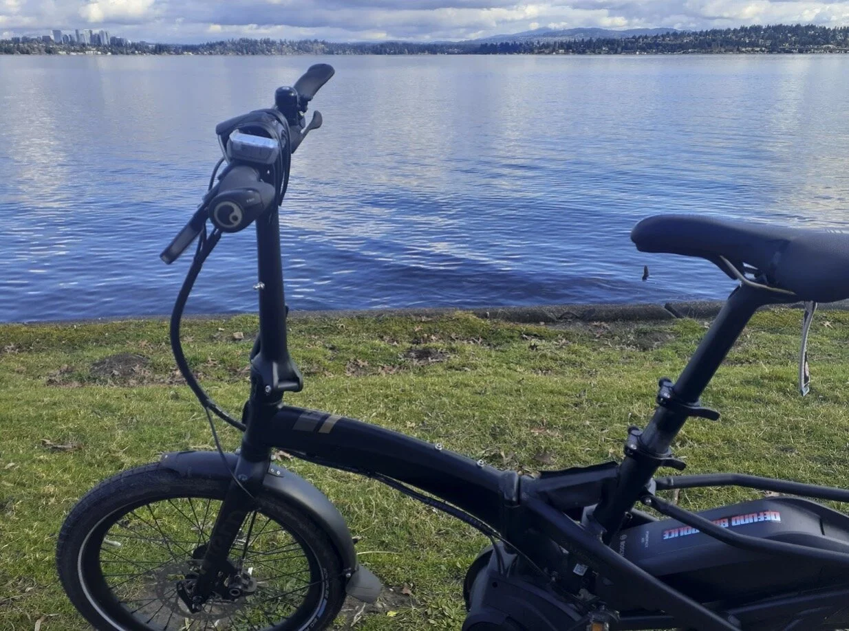 Buy tern vektron d7i review Discount