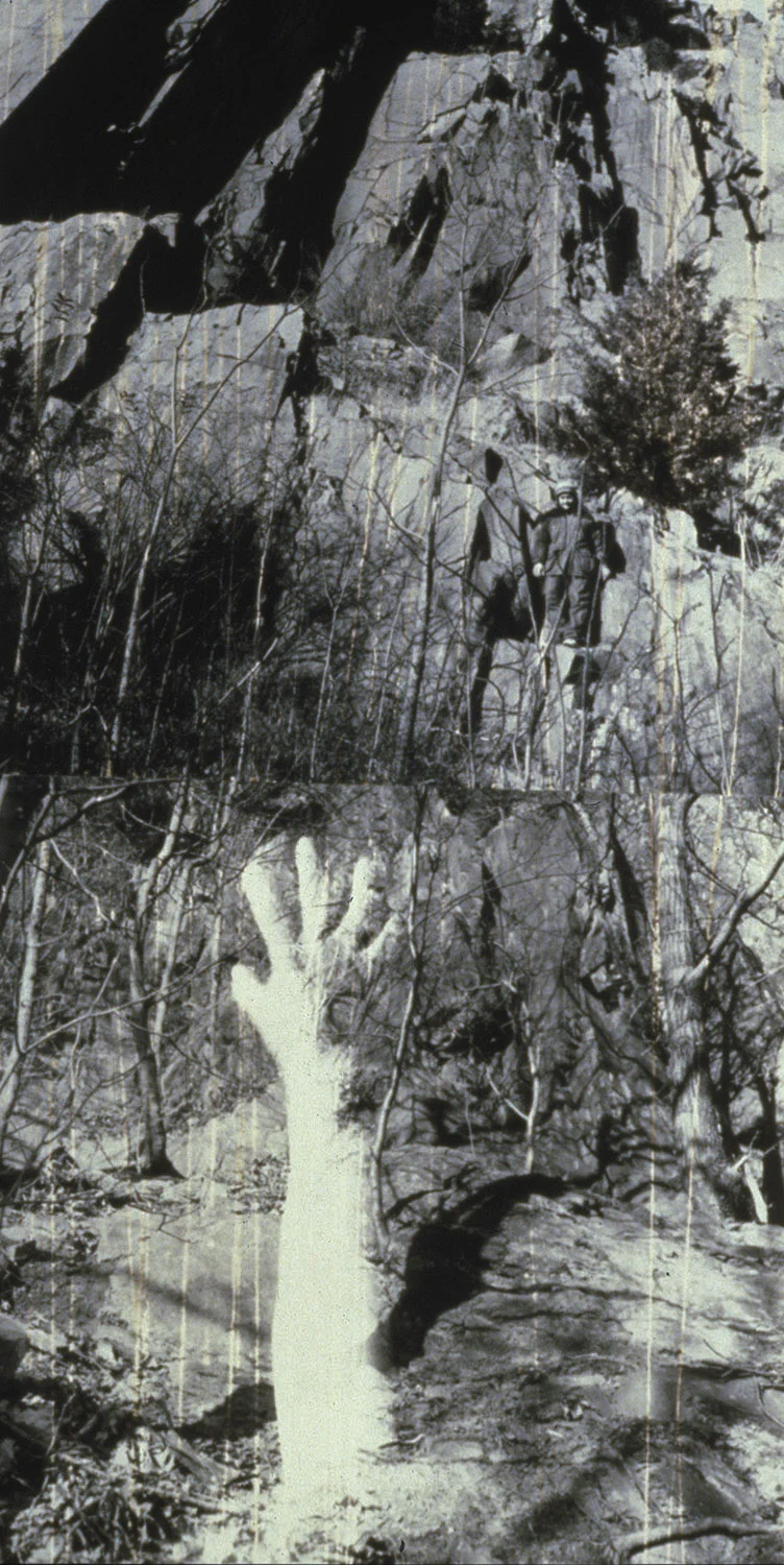 The Woods.04 (detail)