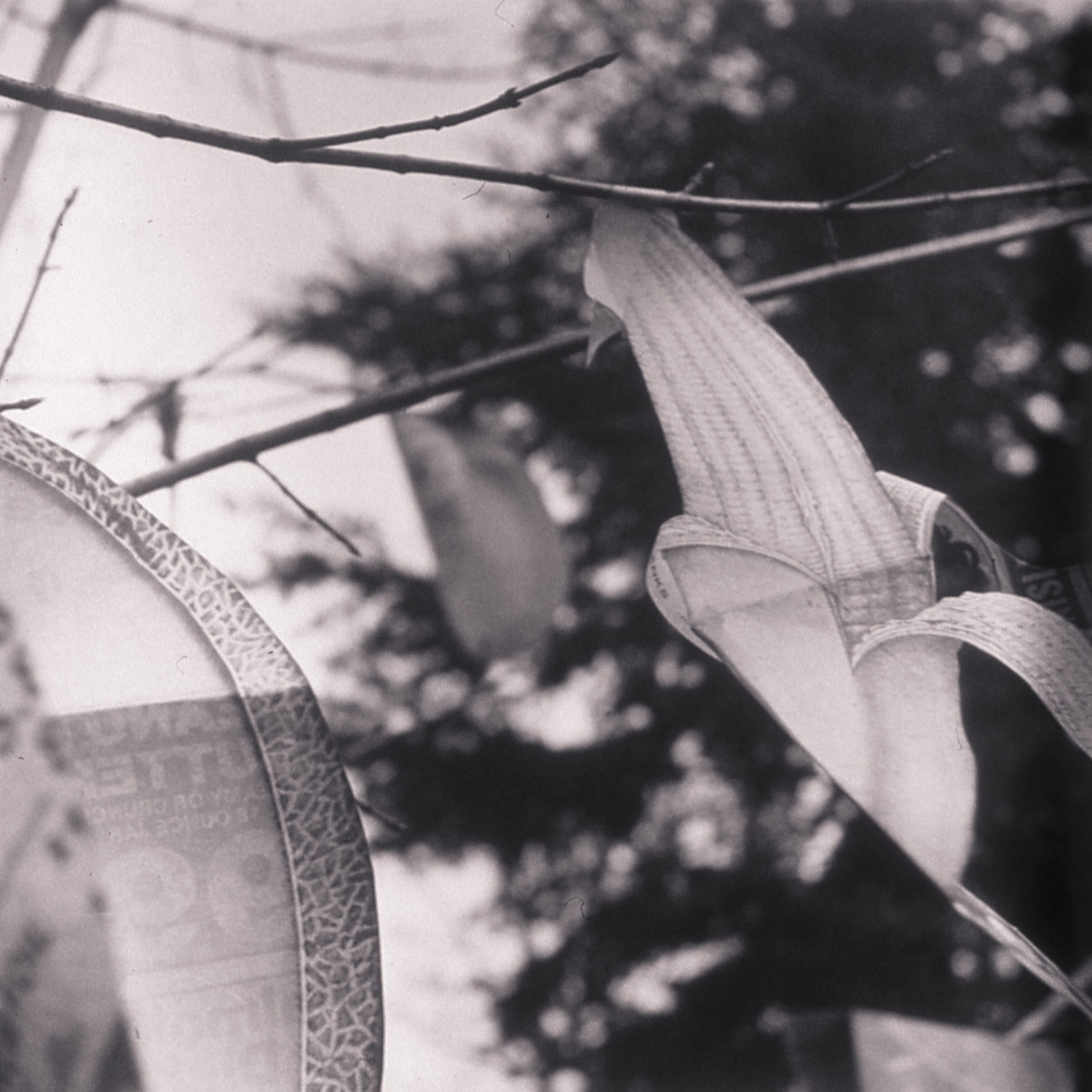 Gelatin Silver Print, Image size 15”sq., 19he Yin Yang of Suburban Living.08