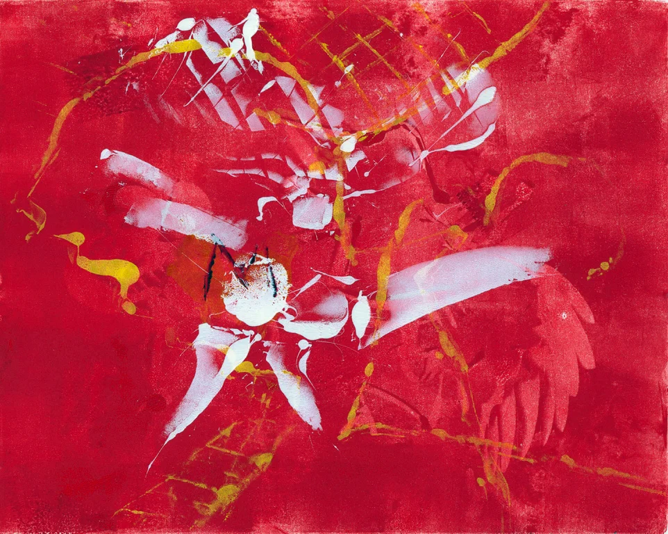 red-mono-opt-web.jpg