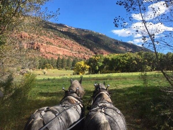 horse_view2.jpg