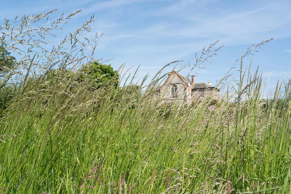 house-grounds9.jpg