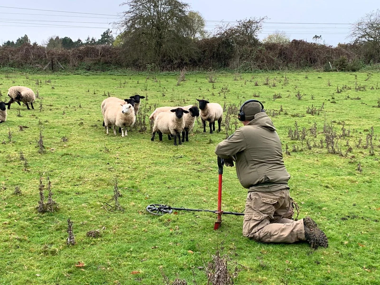 Metal Detecting and Treasure Hunting Holidays Suffolk East Anglia