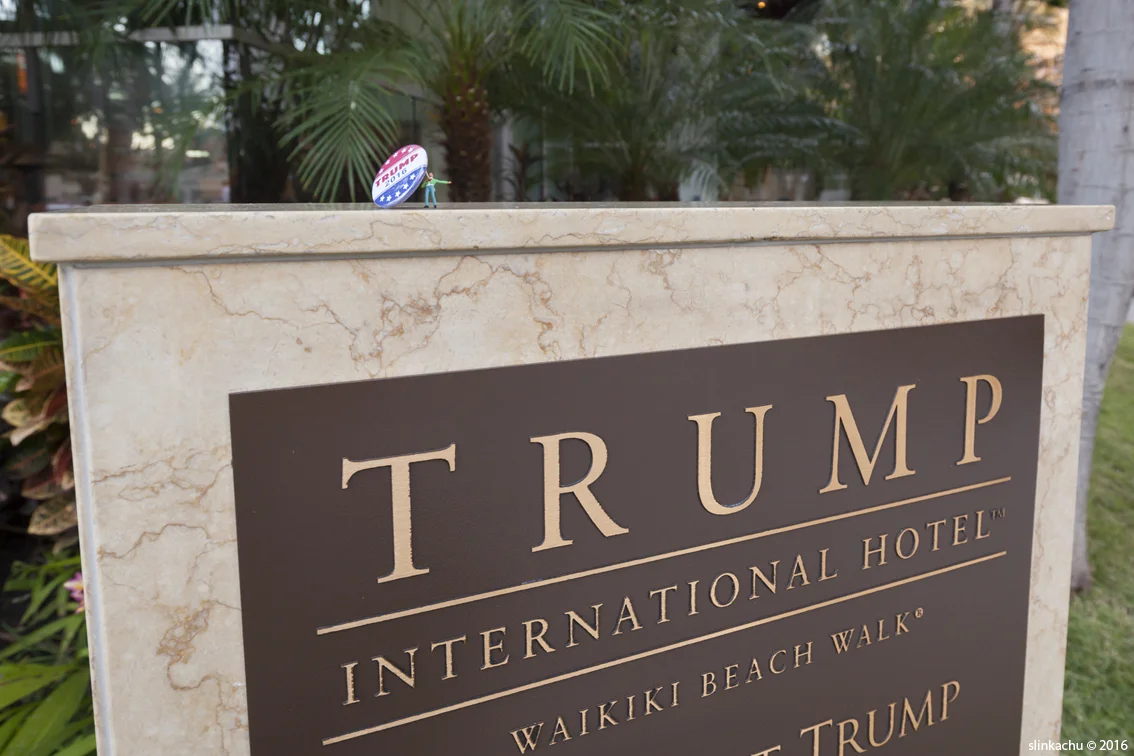 trump 2- blog .jpg