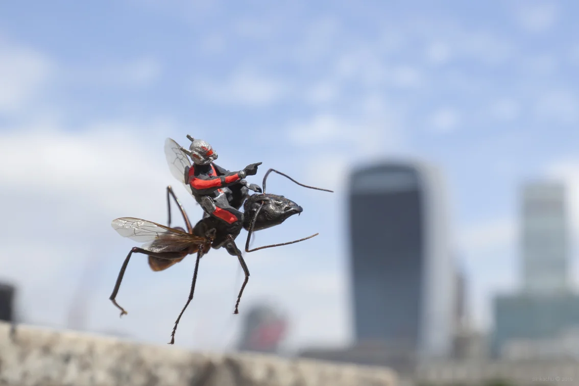 Ant-Man flying 1a - blog.jpg