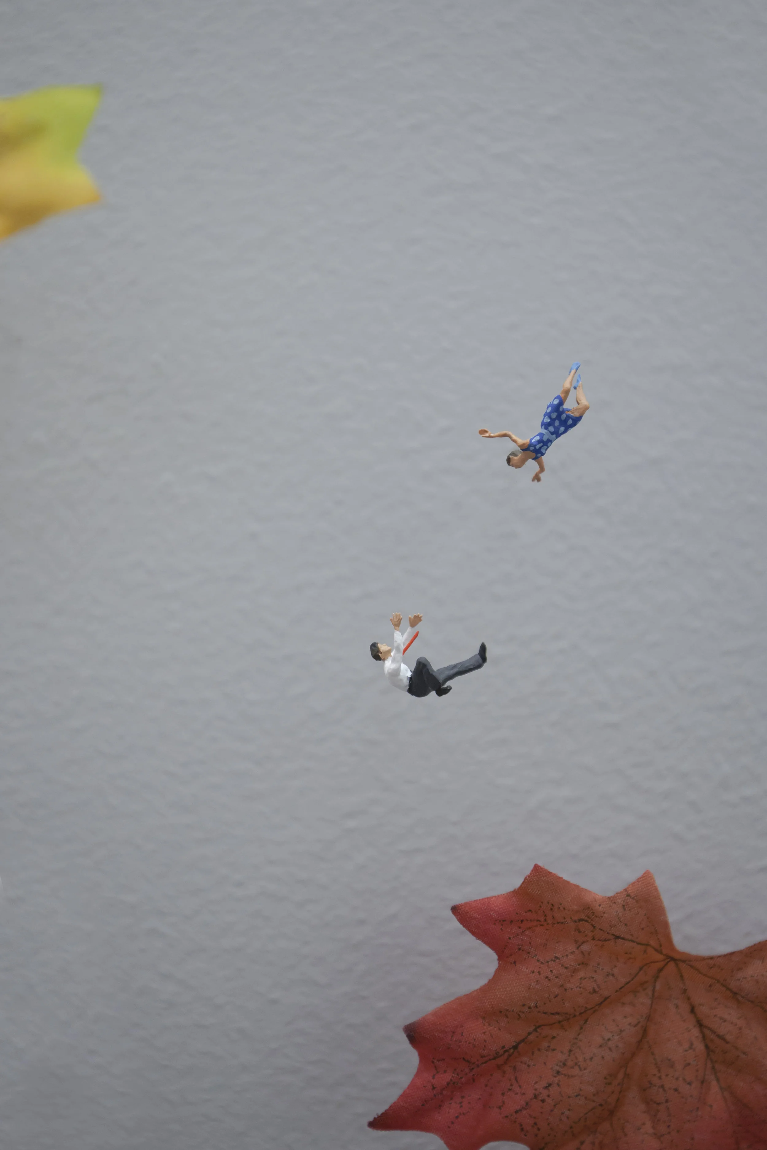 Leaf installation 7.jpg
