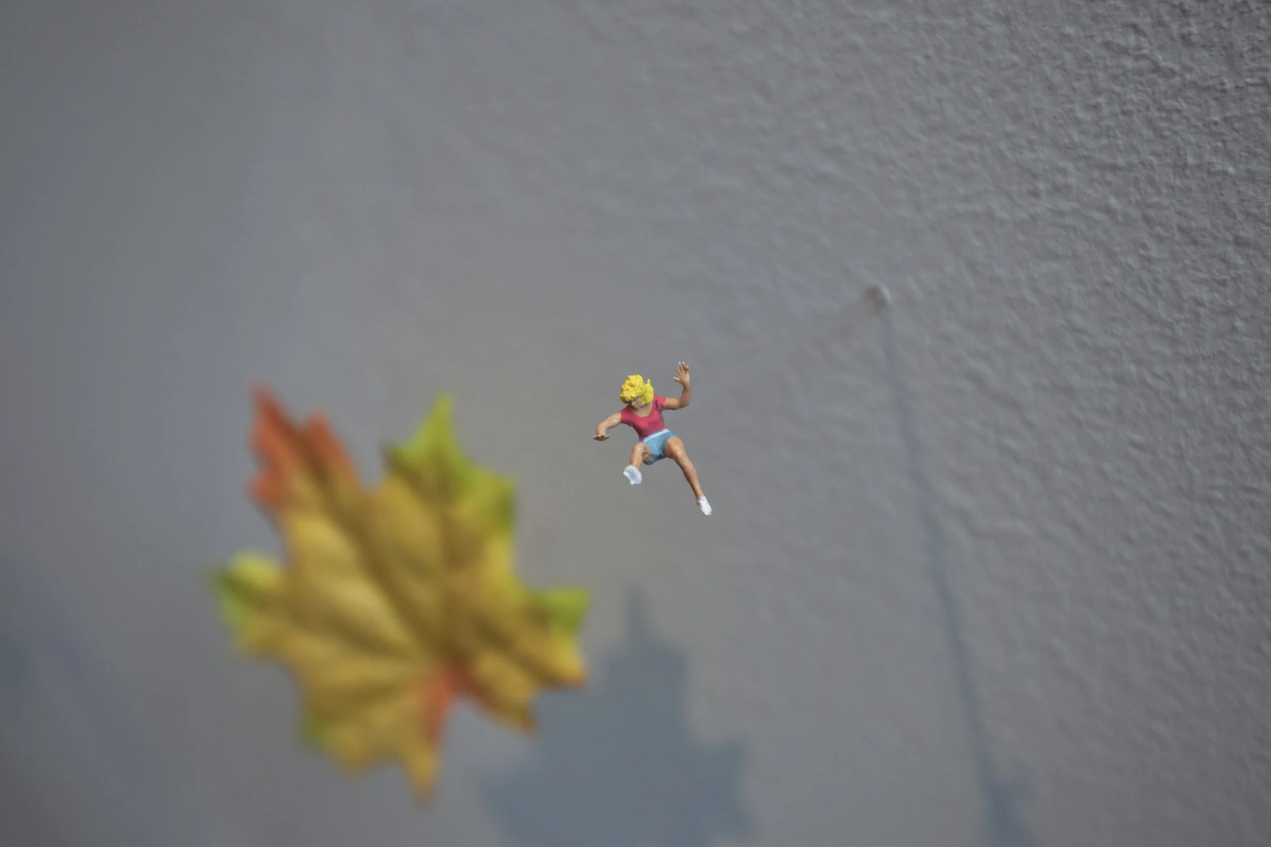 Leaf installation 17.jpg