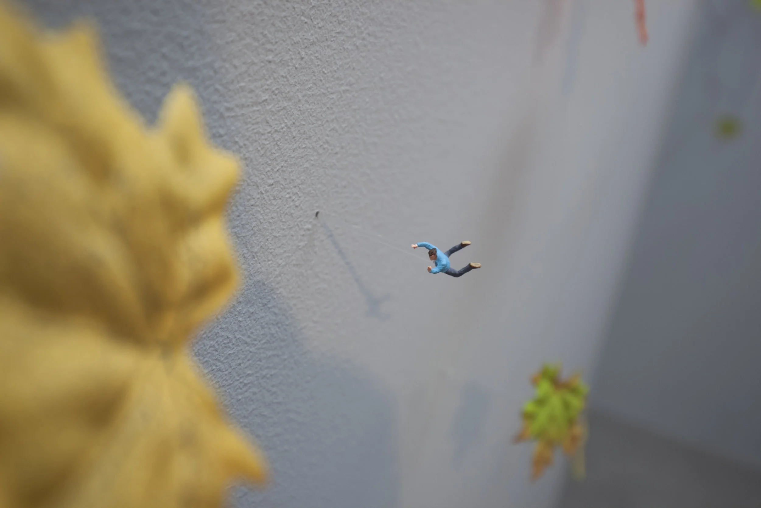 Leaf installation 19.jpg