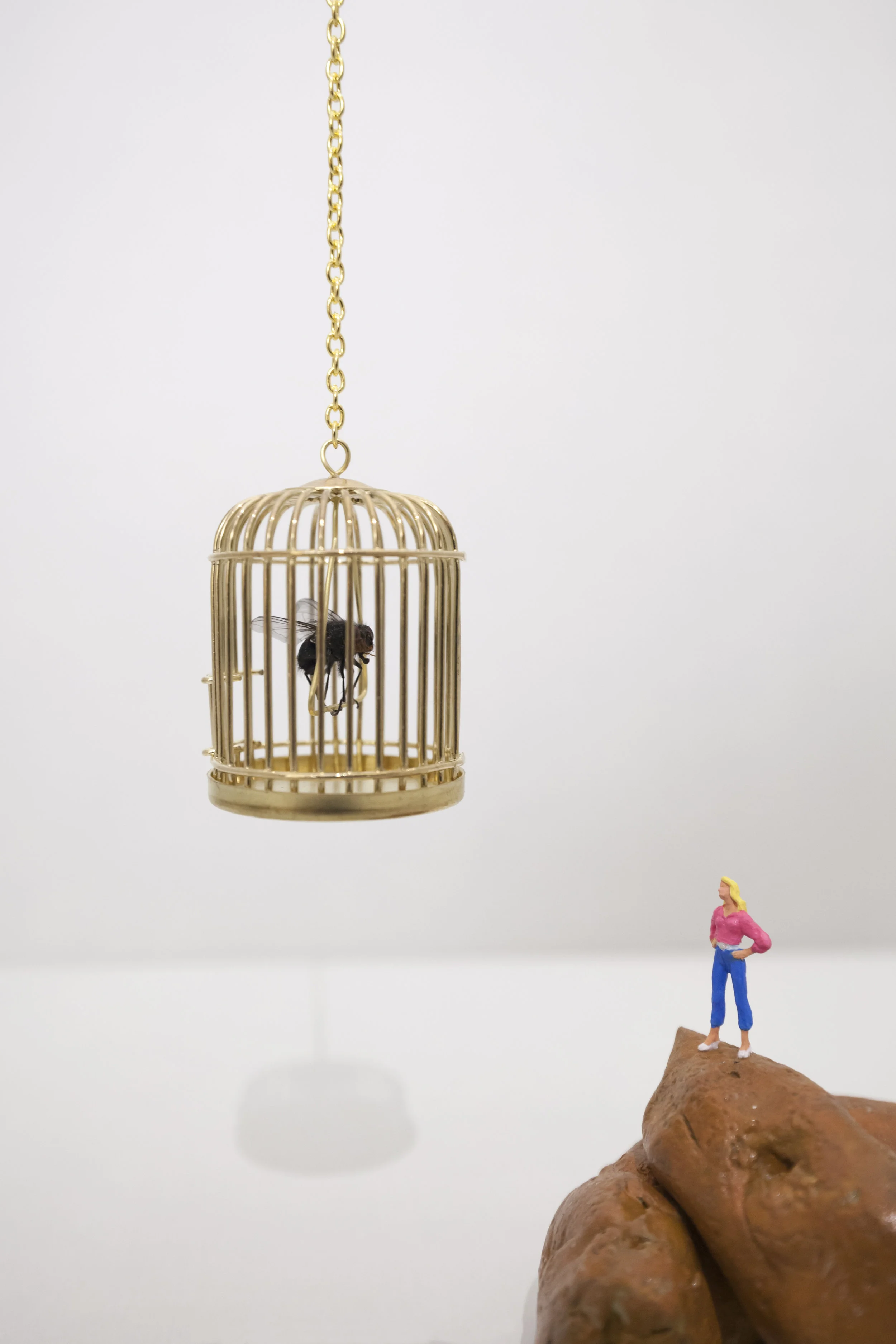 The Cage 1.jpg