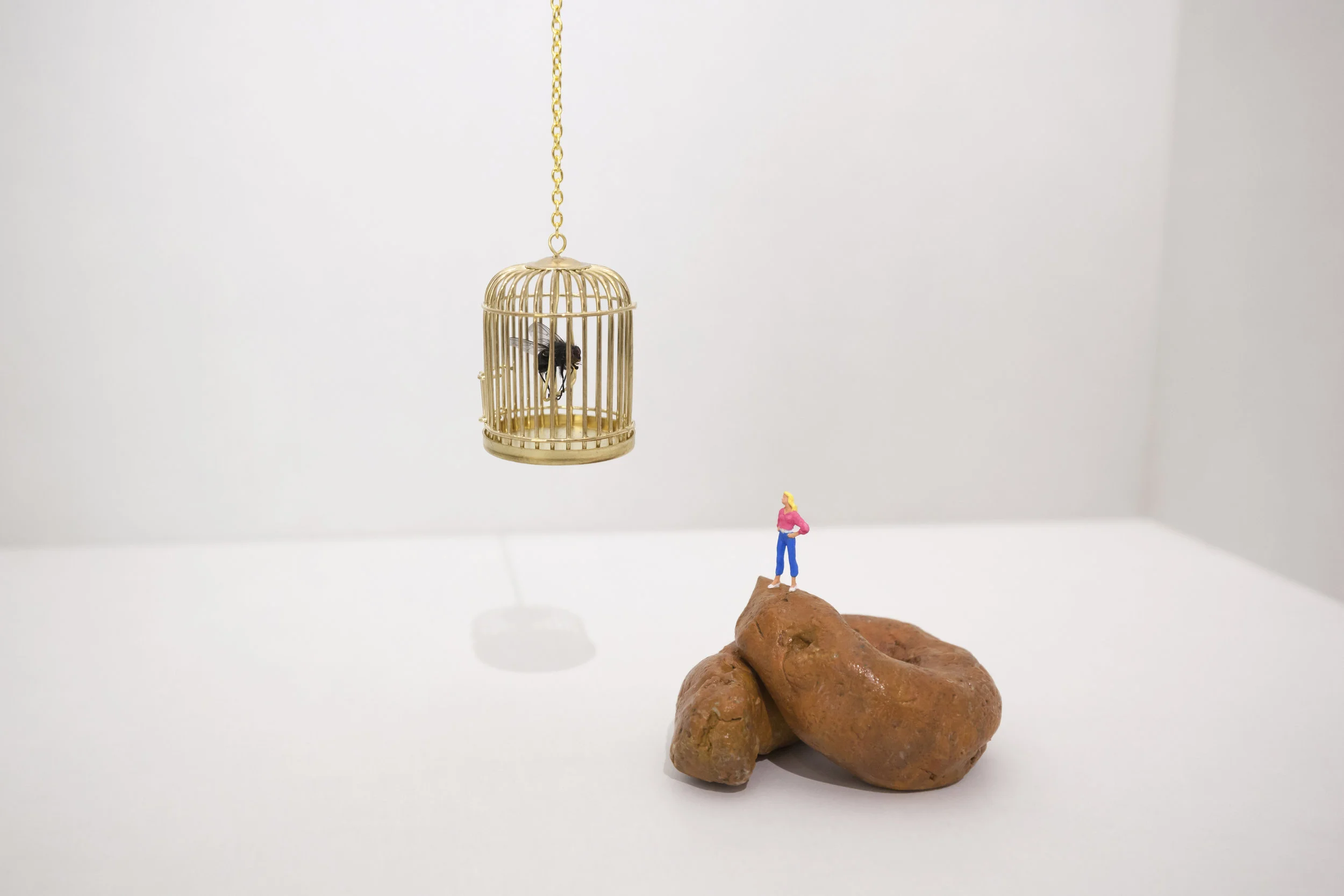 The Cage 2.jpg