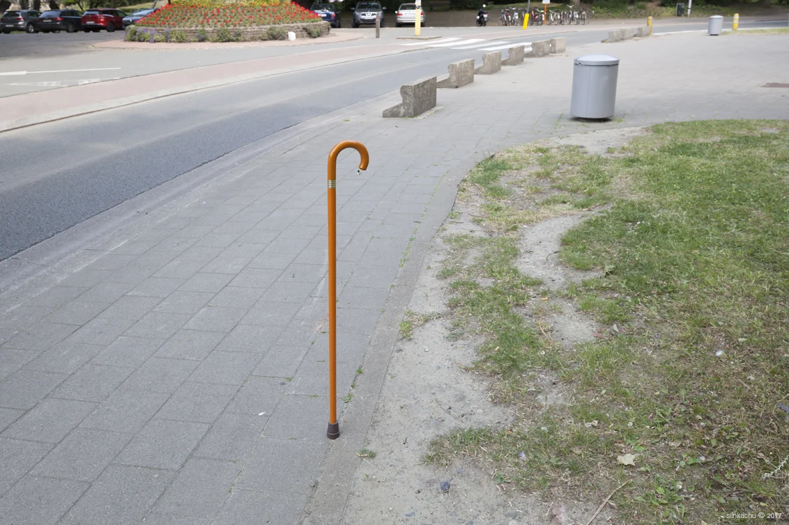 walking stick 3 - blog.jpg