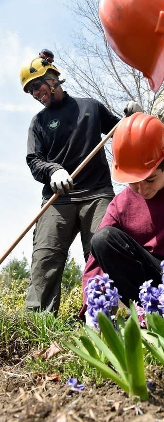 Orlando from BTSE works on a planting at Medford High School (Wicked Local Staff Photo/David Sokol).