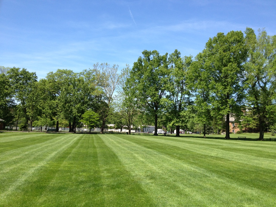 Landscapes have leaves and organic material systematically removed, preventing the natural decomposition and nutrient cycling process.