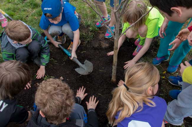 The Town of Arlington celebrated Arbor Day on Friday, April 27, 2017 at multiple locations around town.