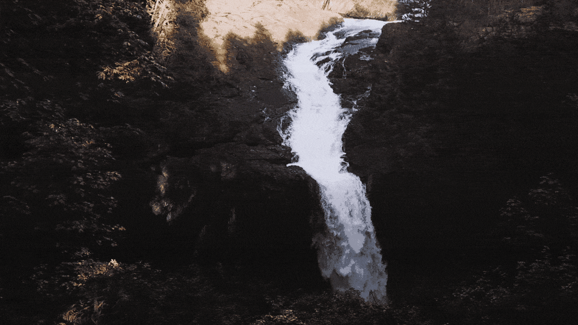 WWK (1).gif