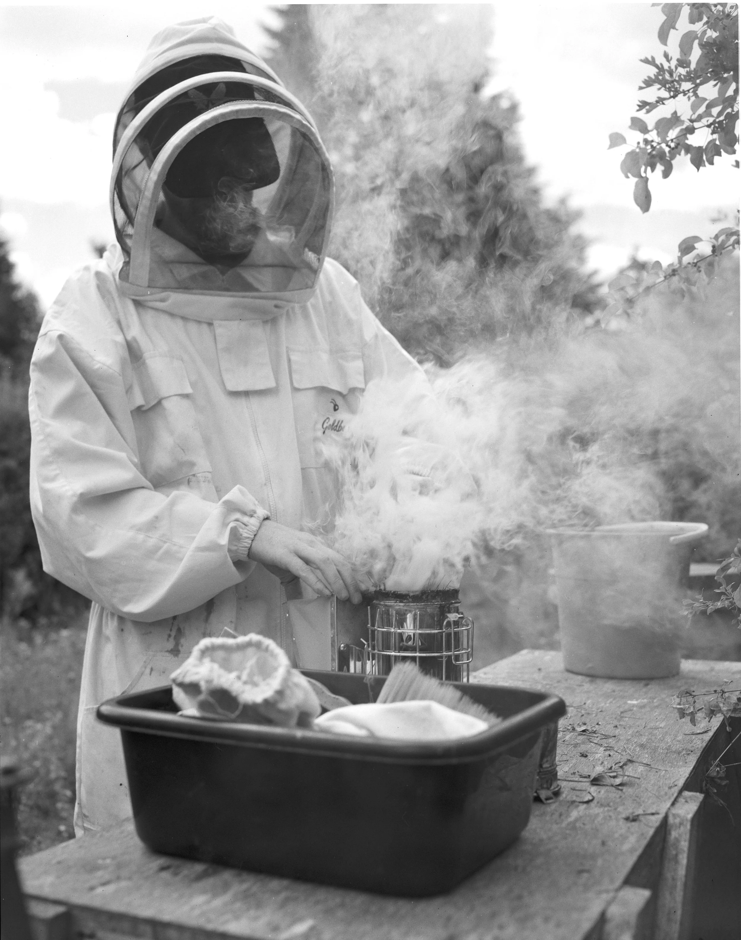 BEES ON B&W_002.jpg