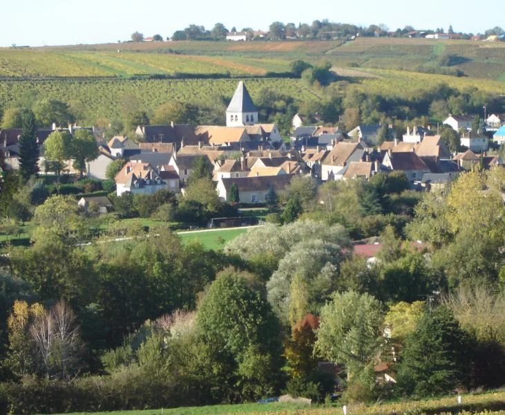 vincentgaudry.jpg