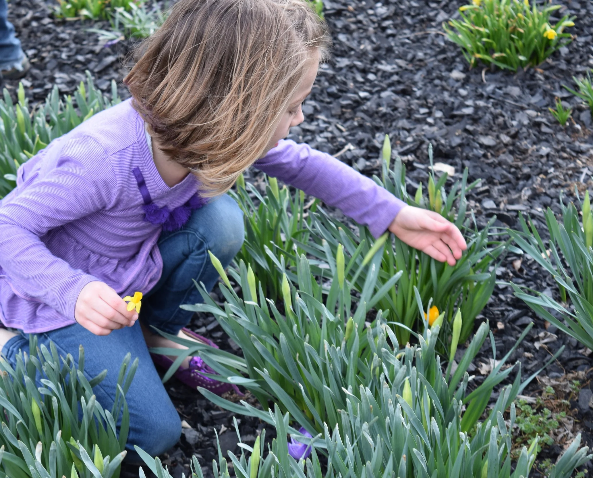  Photo Property of/Provided by: TMac 