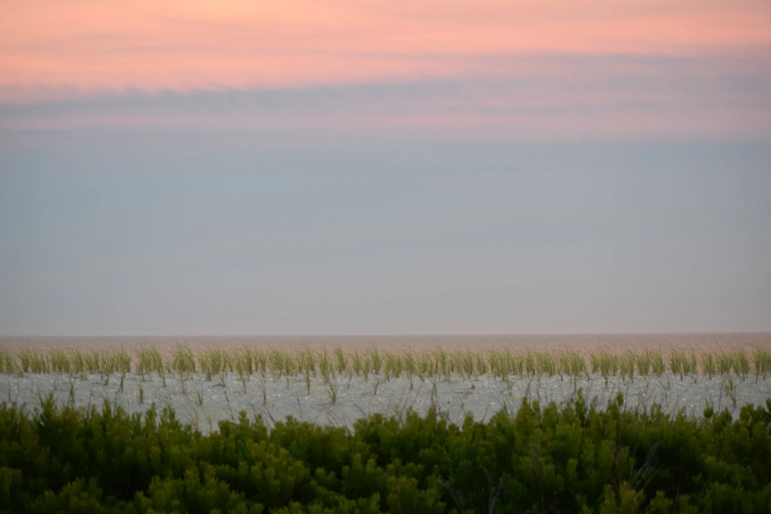  Photo Property of/Provided by: TMac 