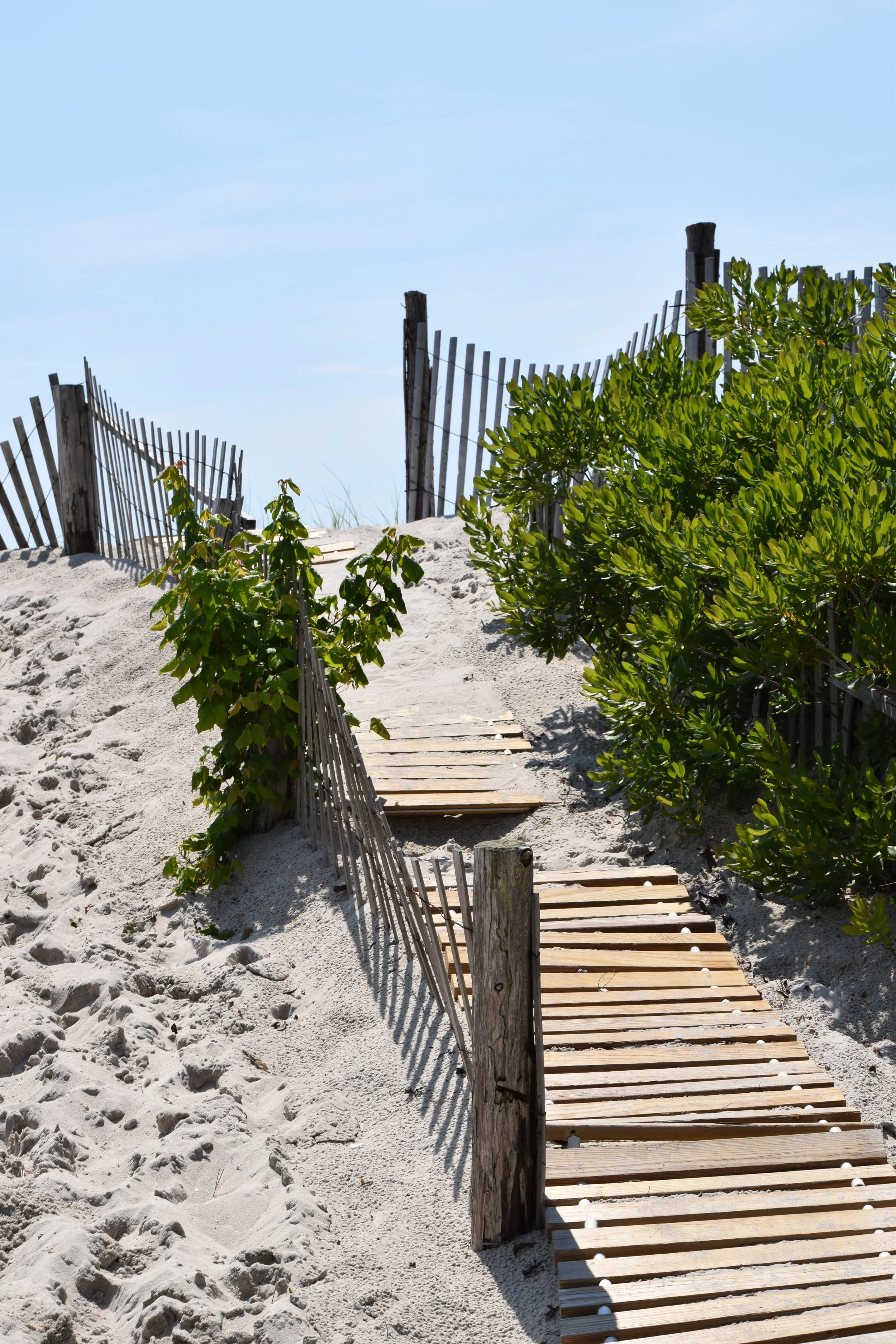  Photo Property of/Provided by: TMac 