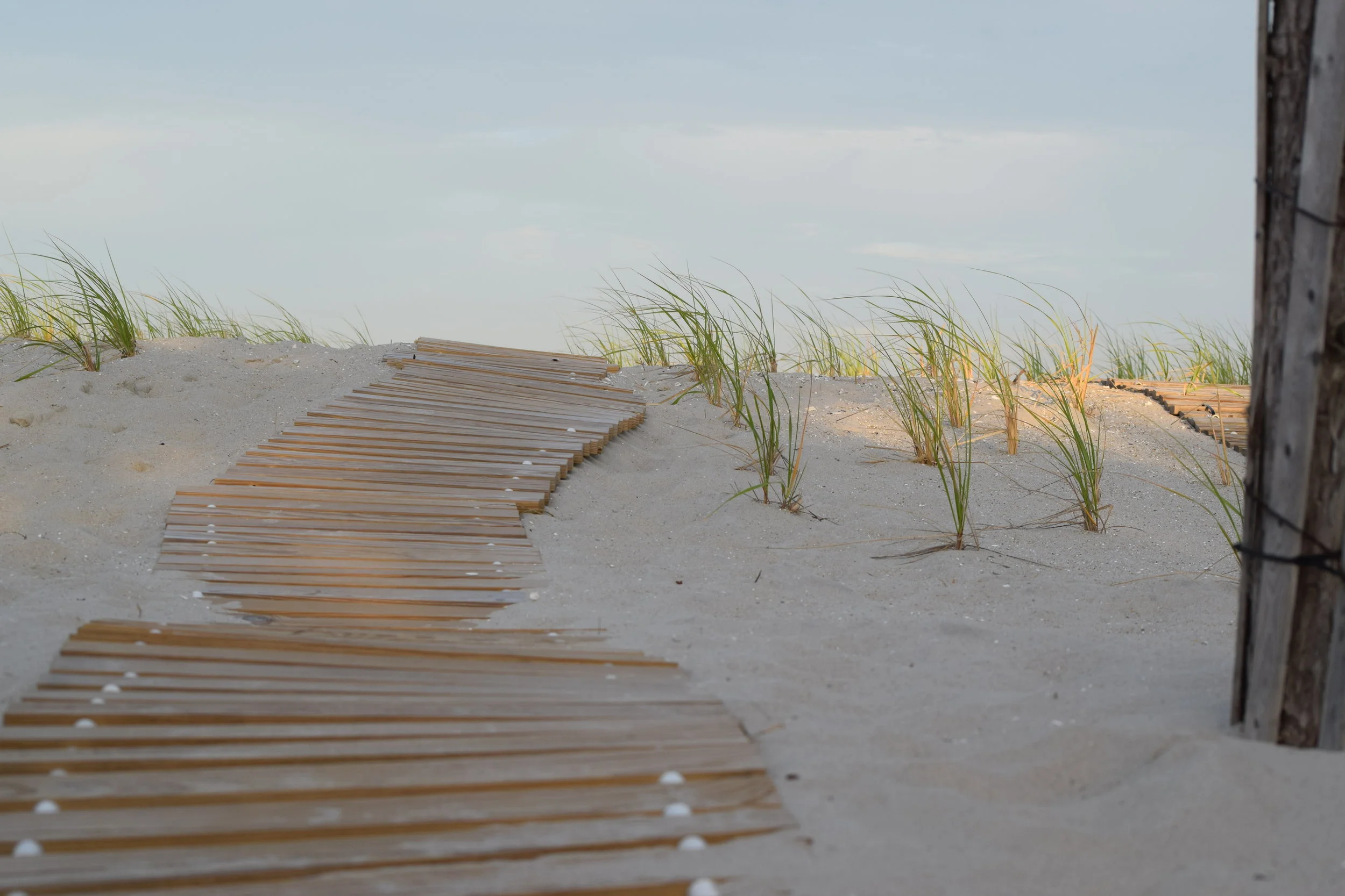  Photo Property of/Provided by: TMac 