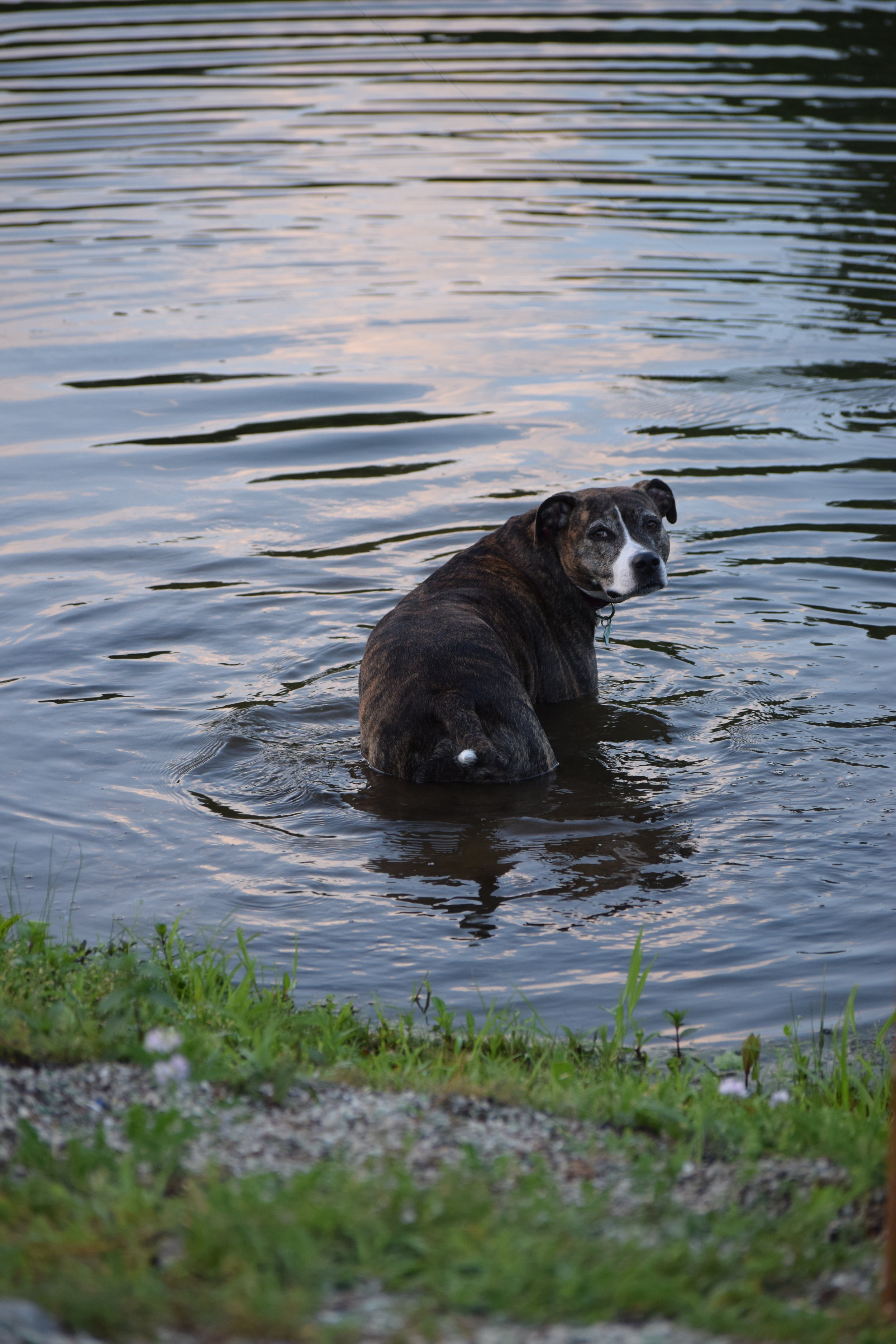  Photo Property of/Provided by: TMac 