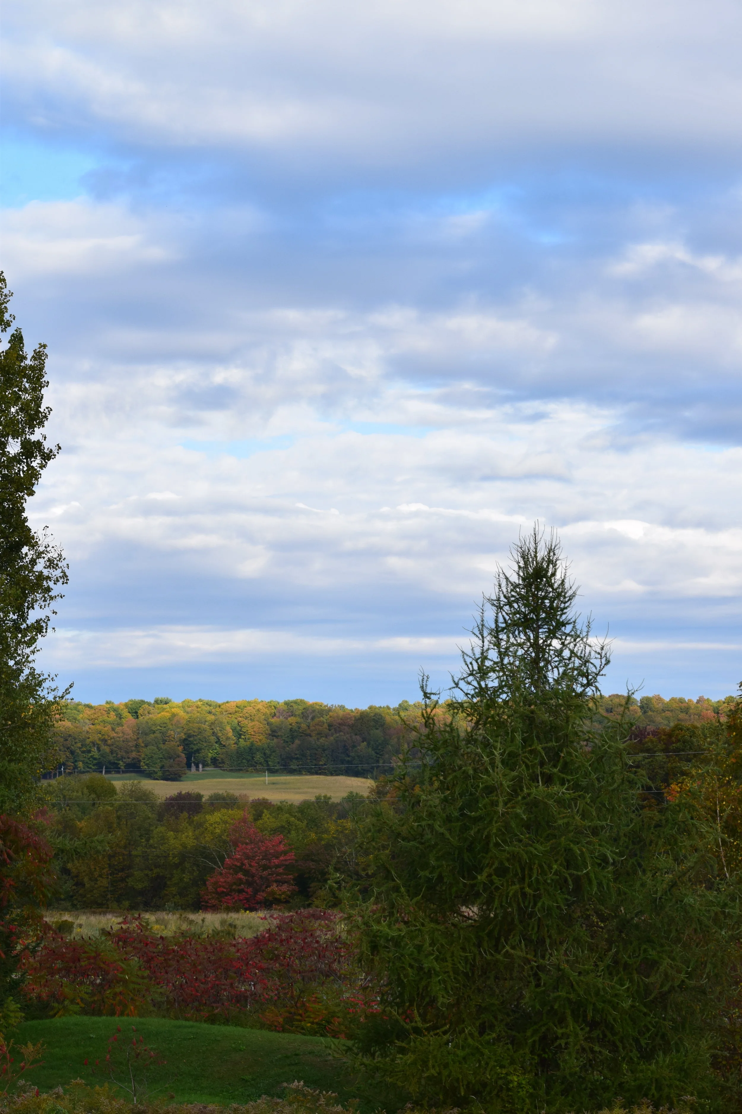  Photo Property of/Provided by: TMac 