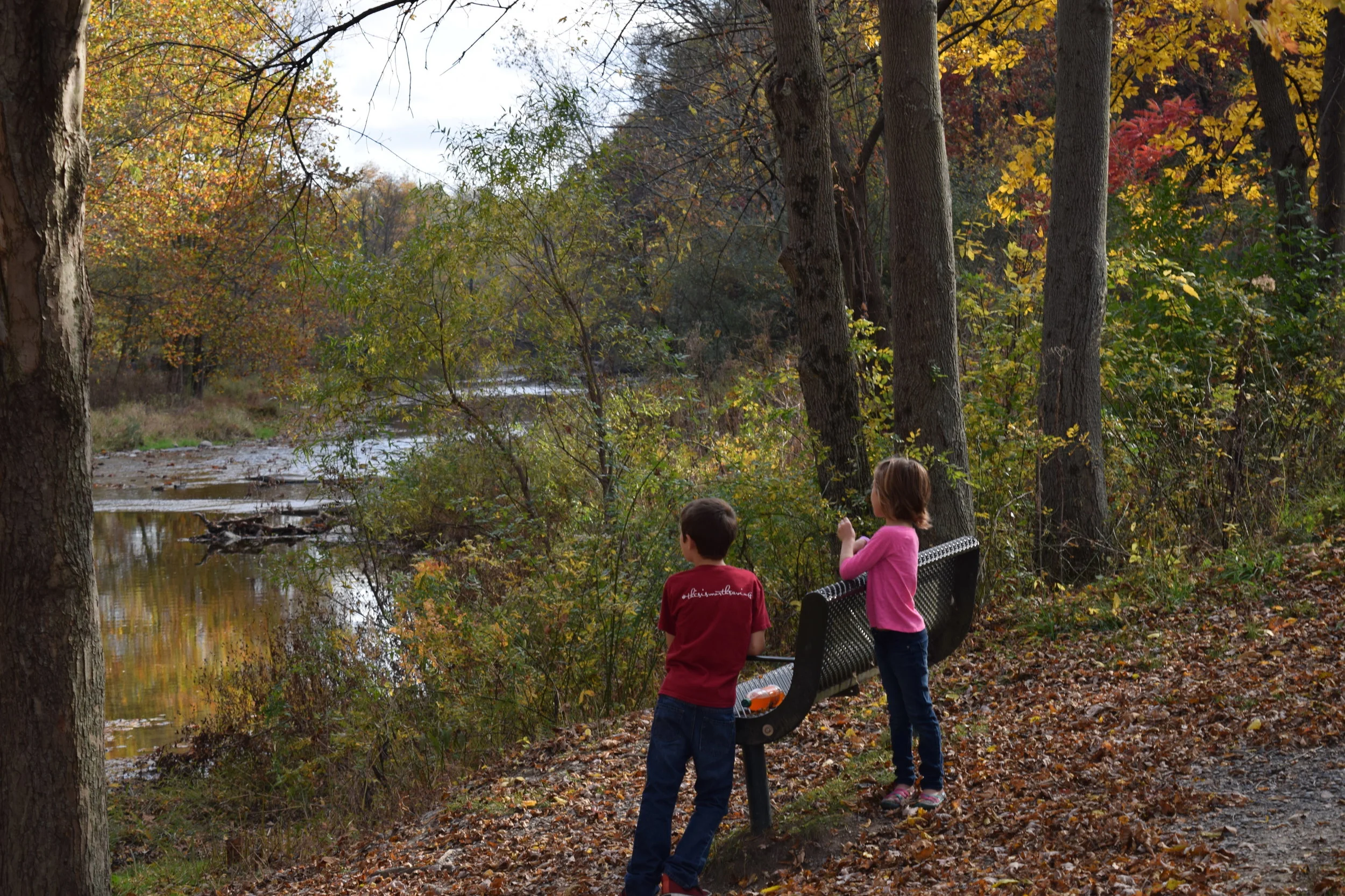  Photo Property of/Provided by: TMac 