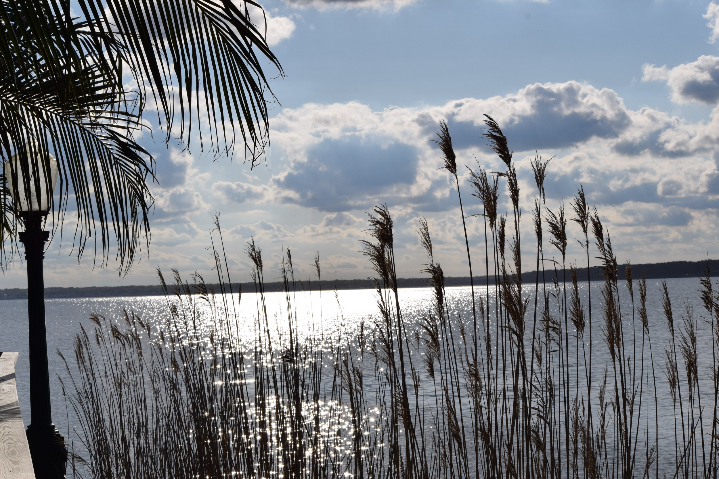  Photo Property of/Provided by: TMac 