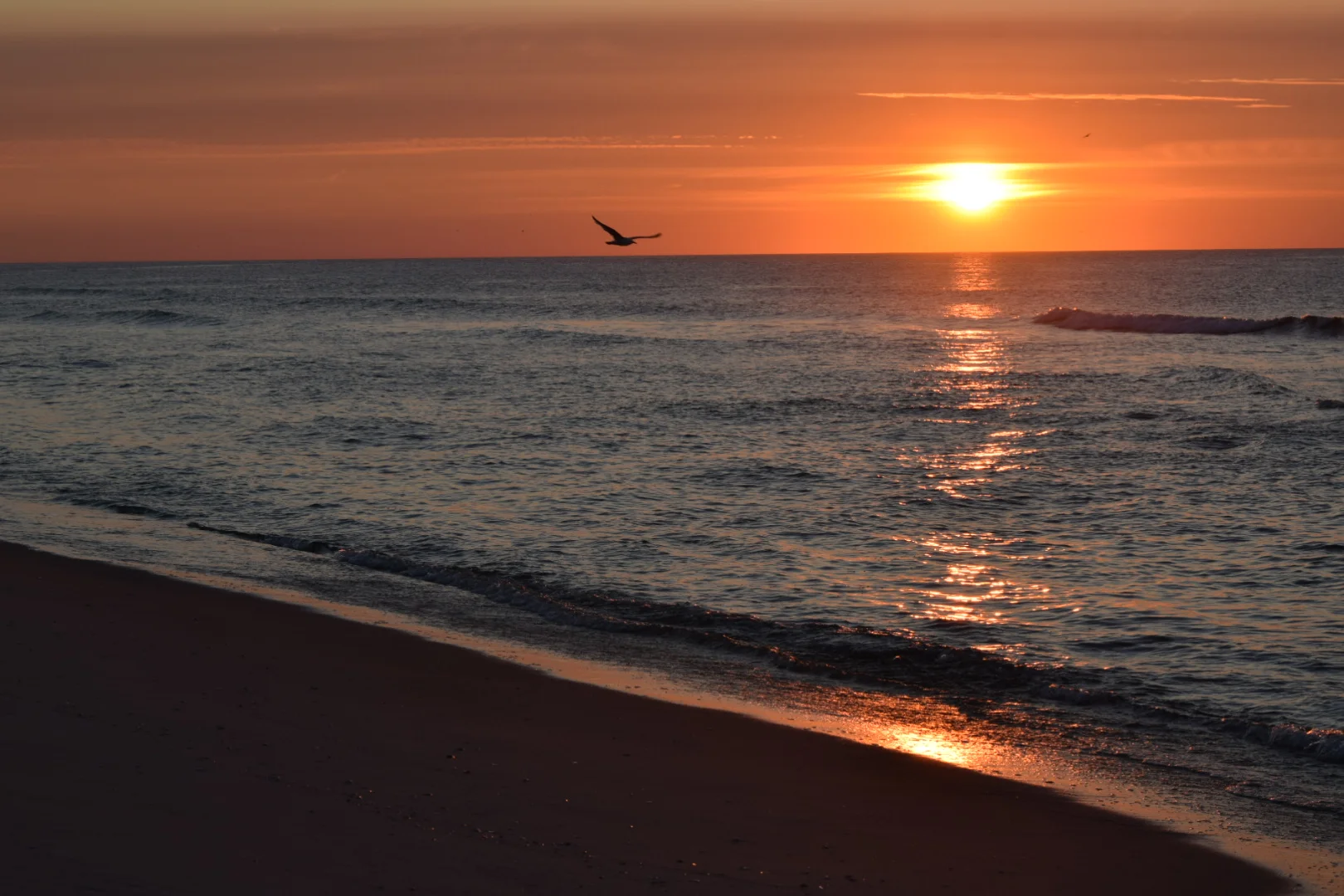  Photo Property of/Provided by: TMac 