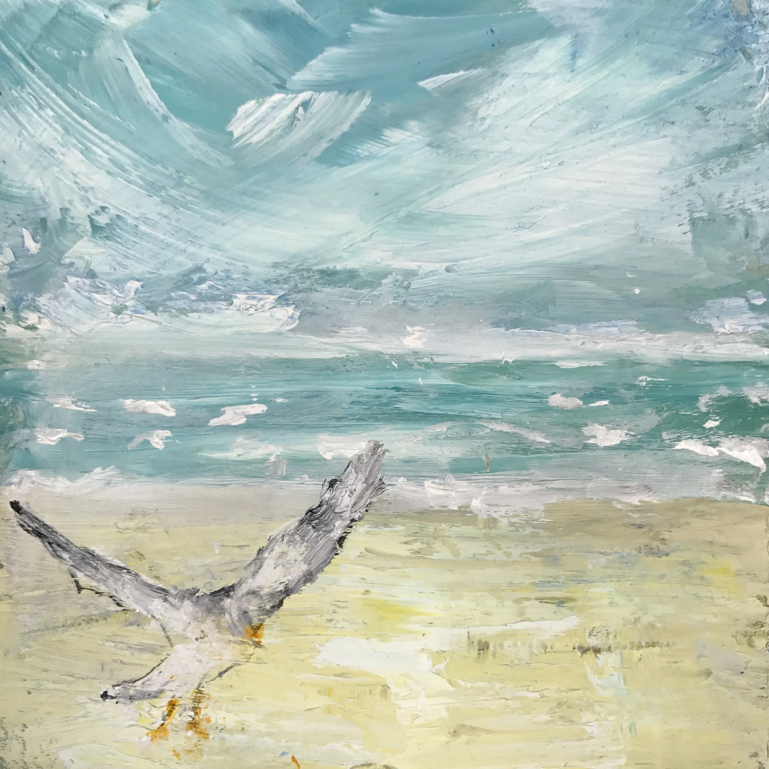 Seagull.jpg