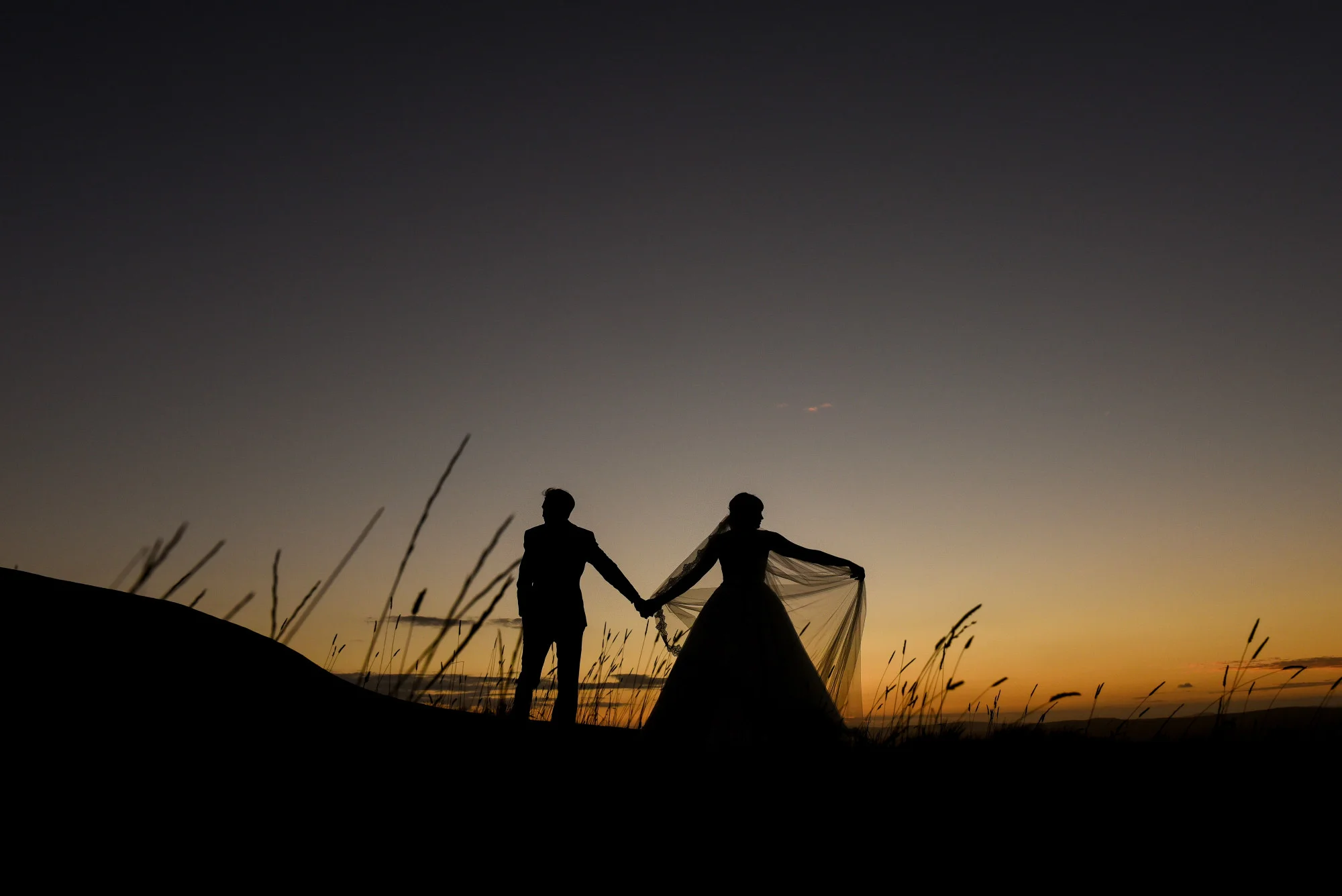 danwoottonphoto_home.jpg