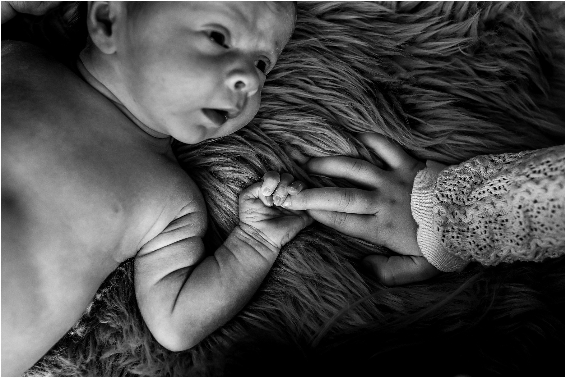 newborn-family-photography-17.jpg