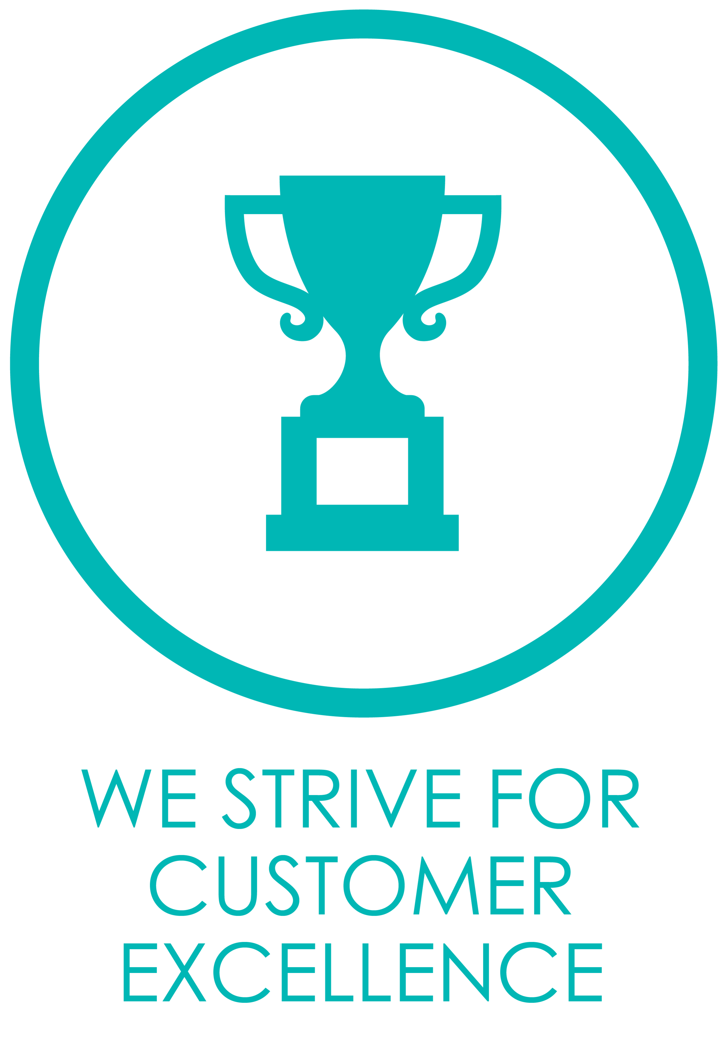 Stoddart Icons_Values_Customer Excellence_text.png