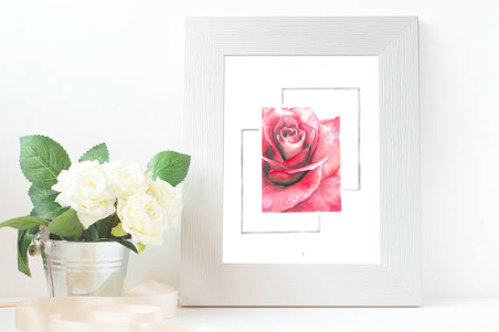 Rose in the Balance - Keita Thomas Watercolor