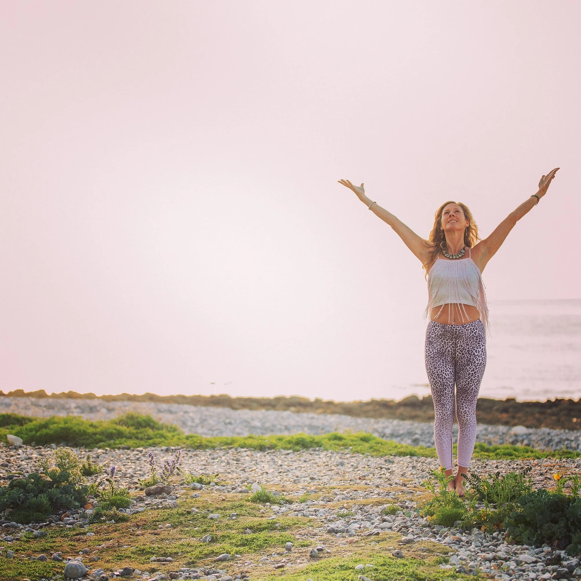 LITHA: Summer Solstice 2020