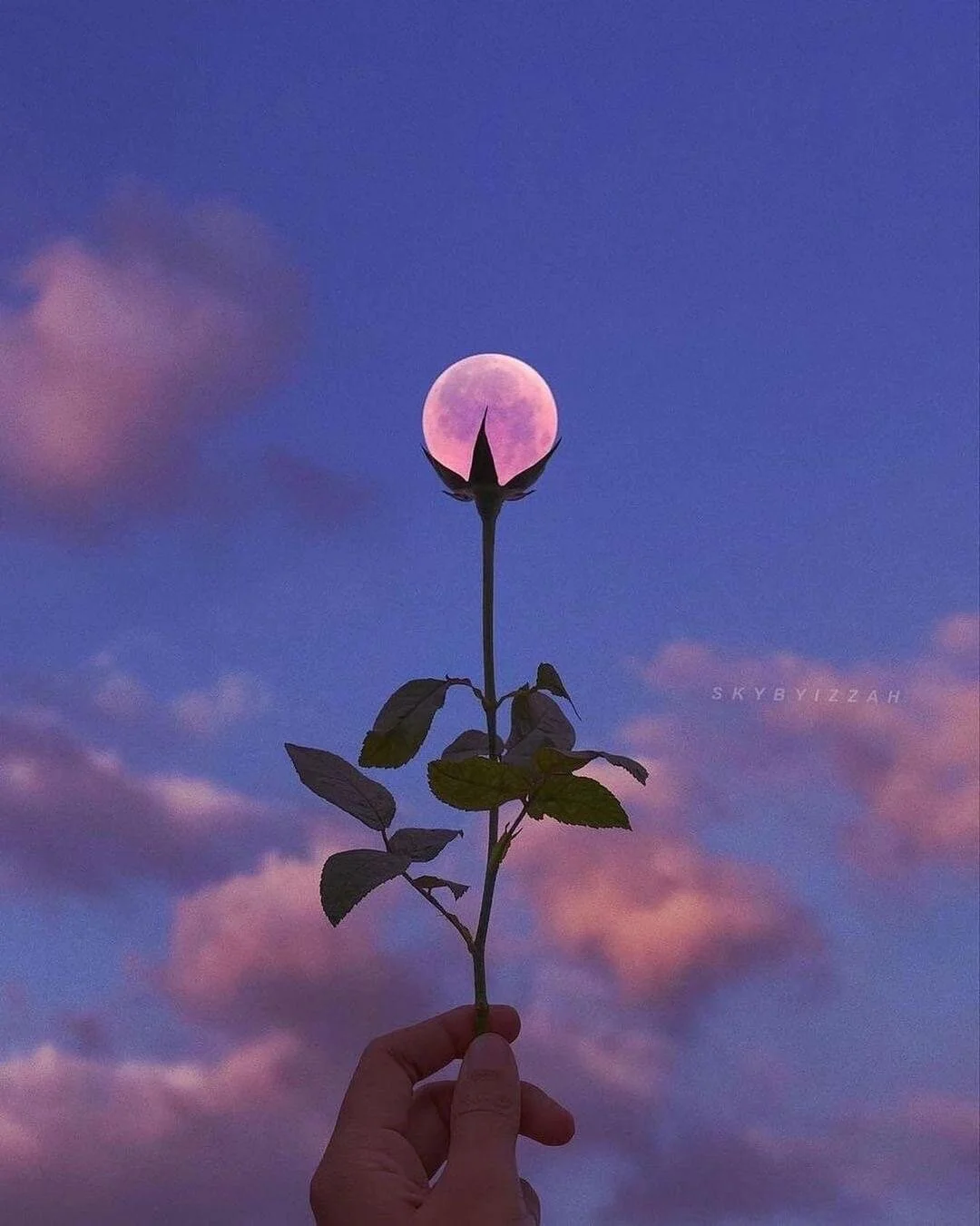 Earth &amp; Moon The Great Space Holders - New Moon In Taurus 