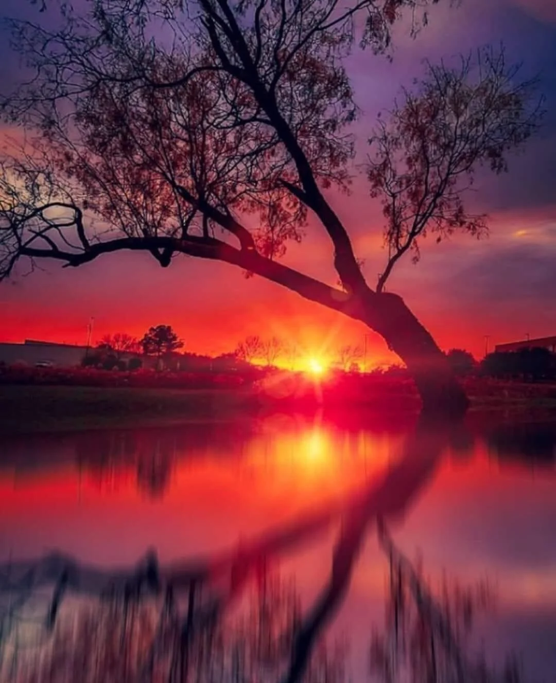 Rising In LOve-New Moon In Cancer