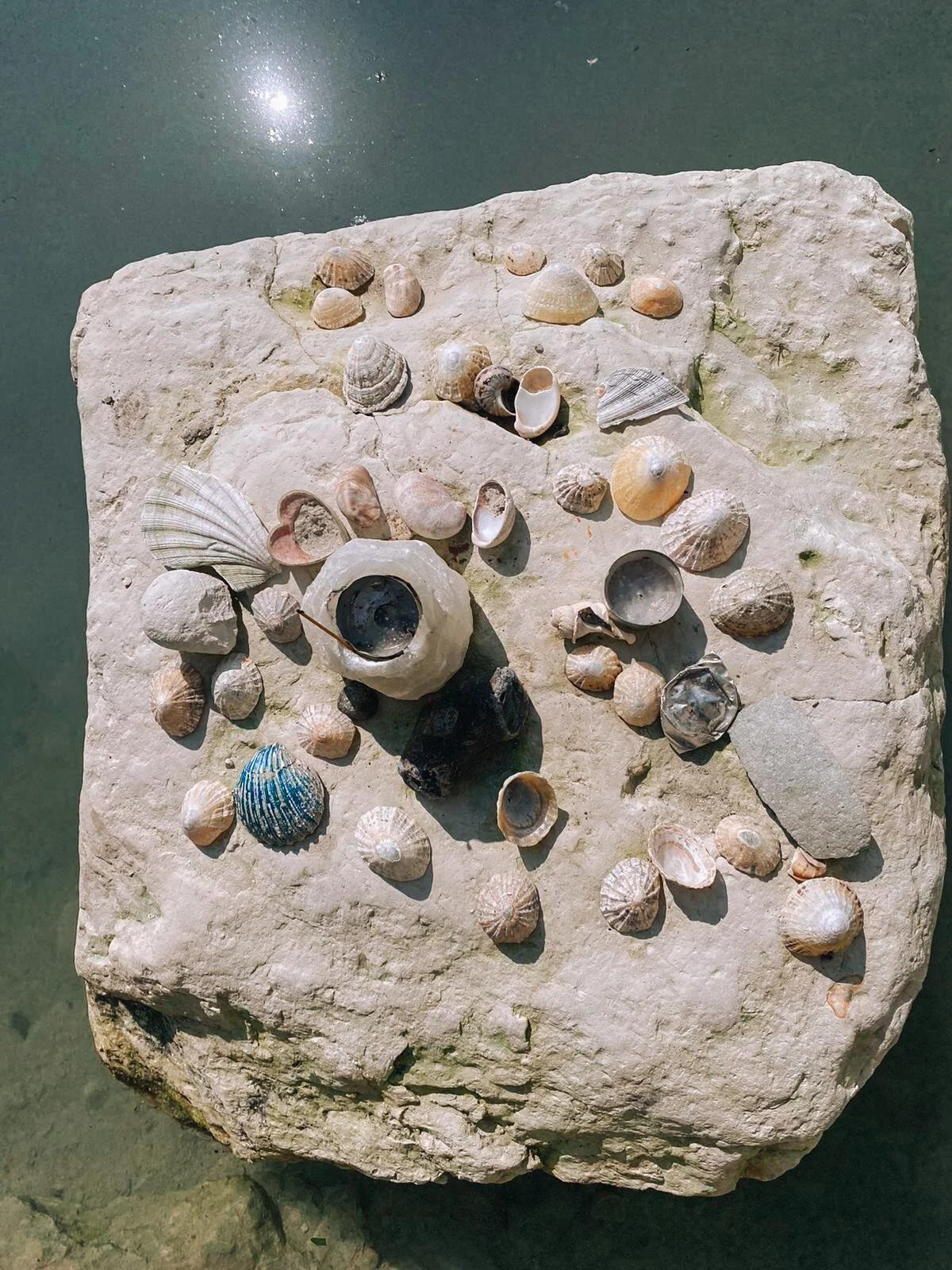 A Moment Of Stillness - Full Moon In Aquarius