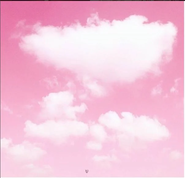 Happy National Pink Day