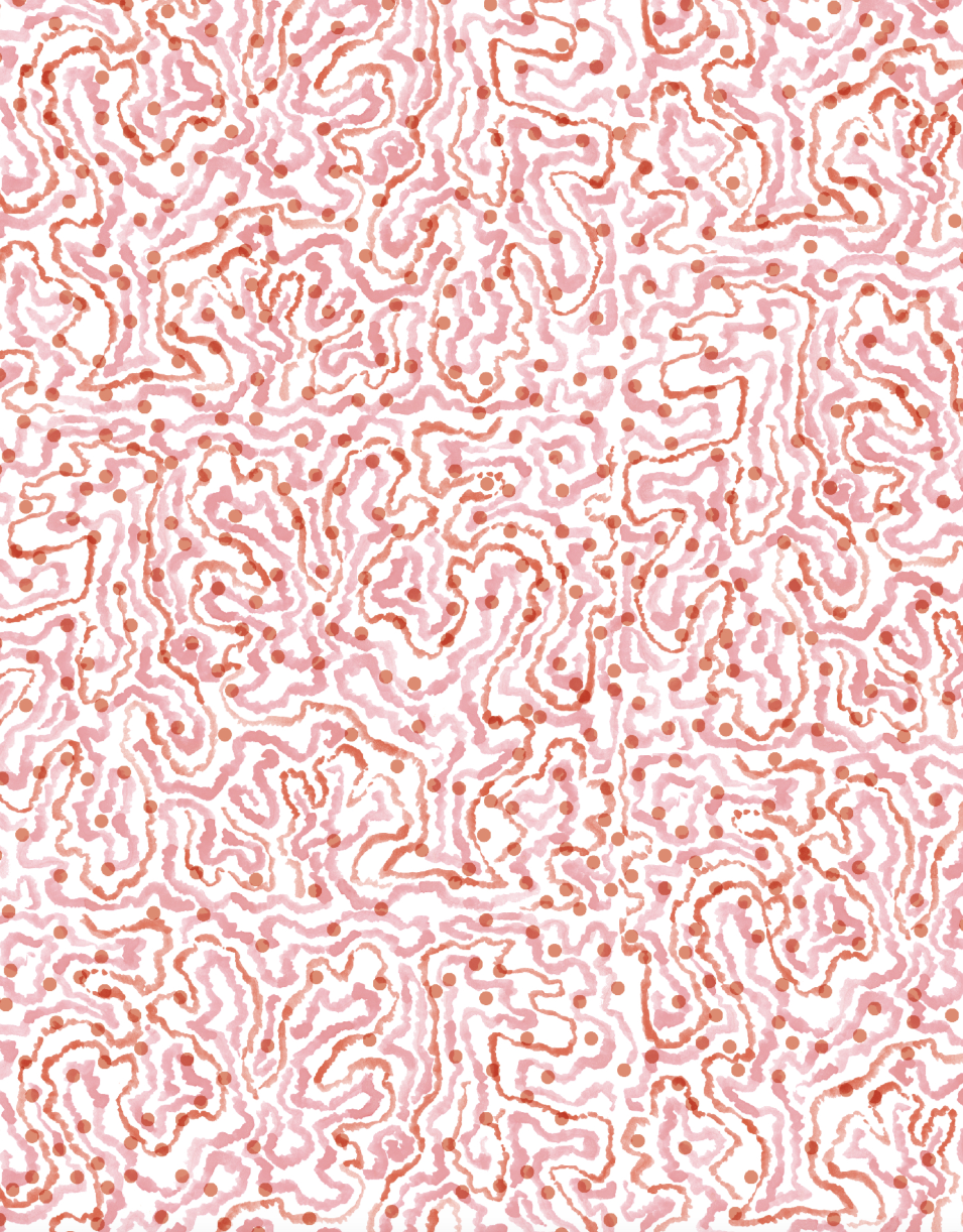 SAL-6097