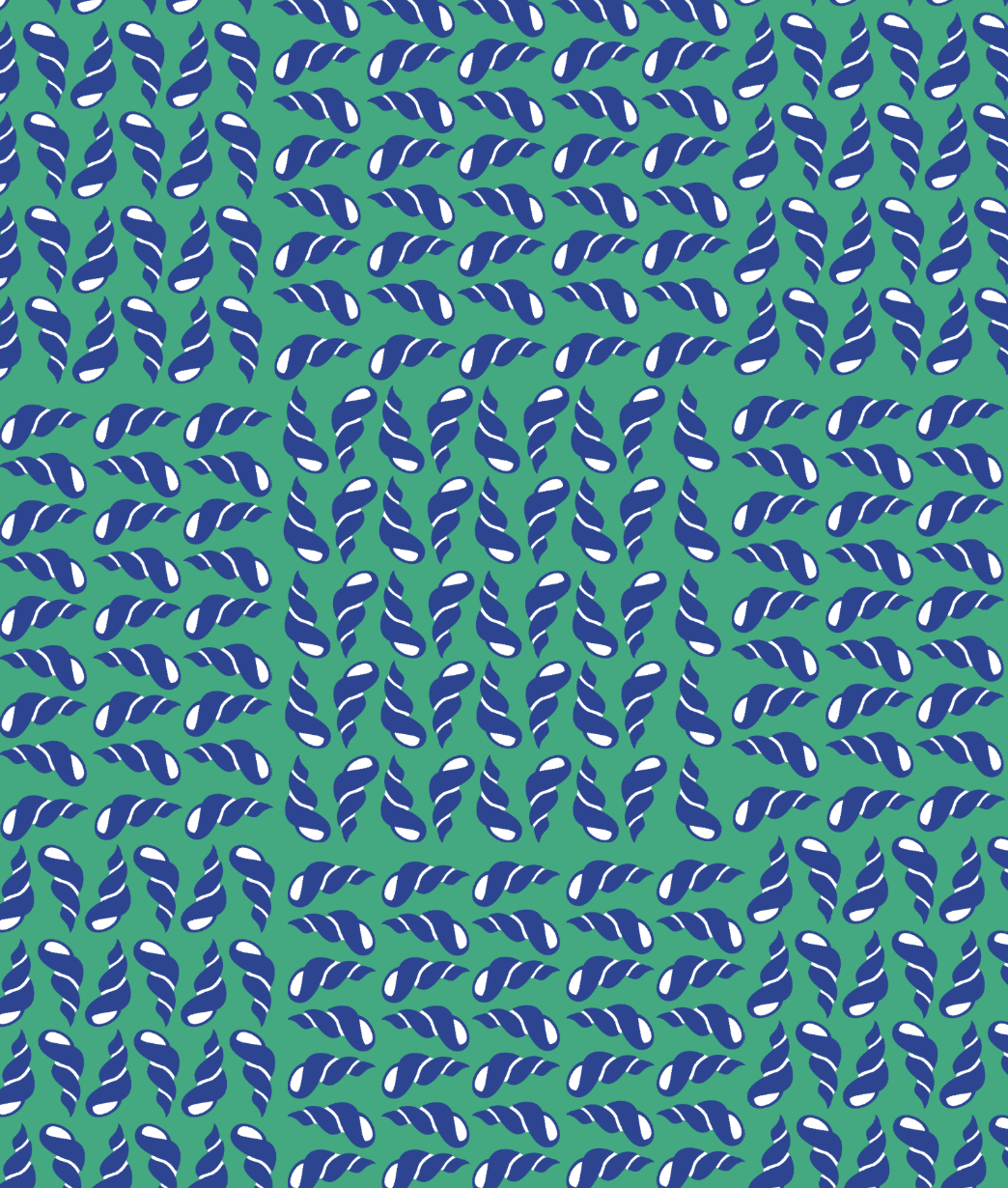 SAL-843
