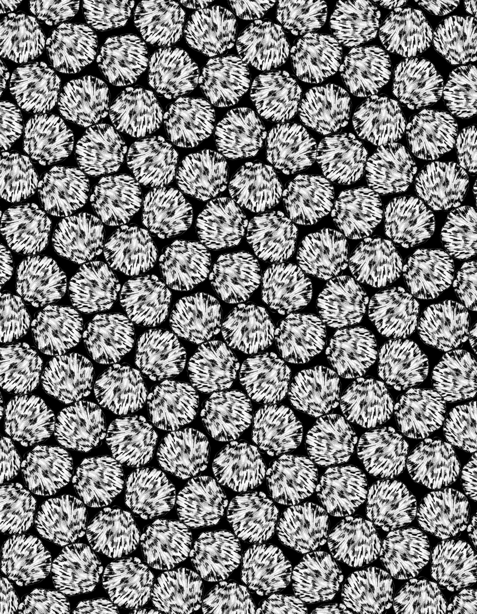SAL-2086
