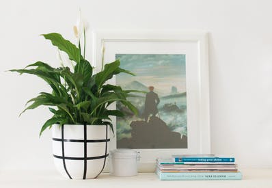 PC: Apartment Therapy