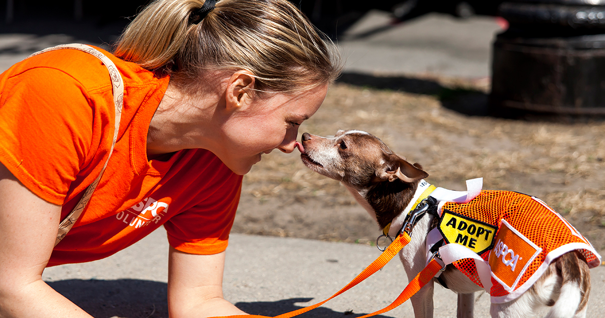 PC: ASPCA