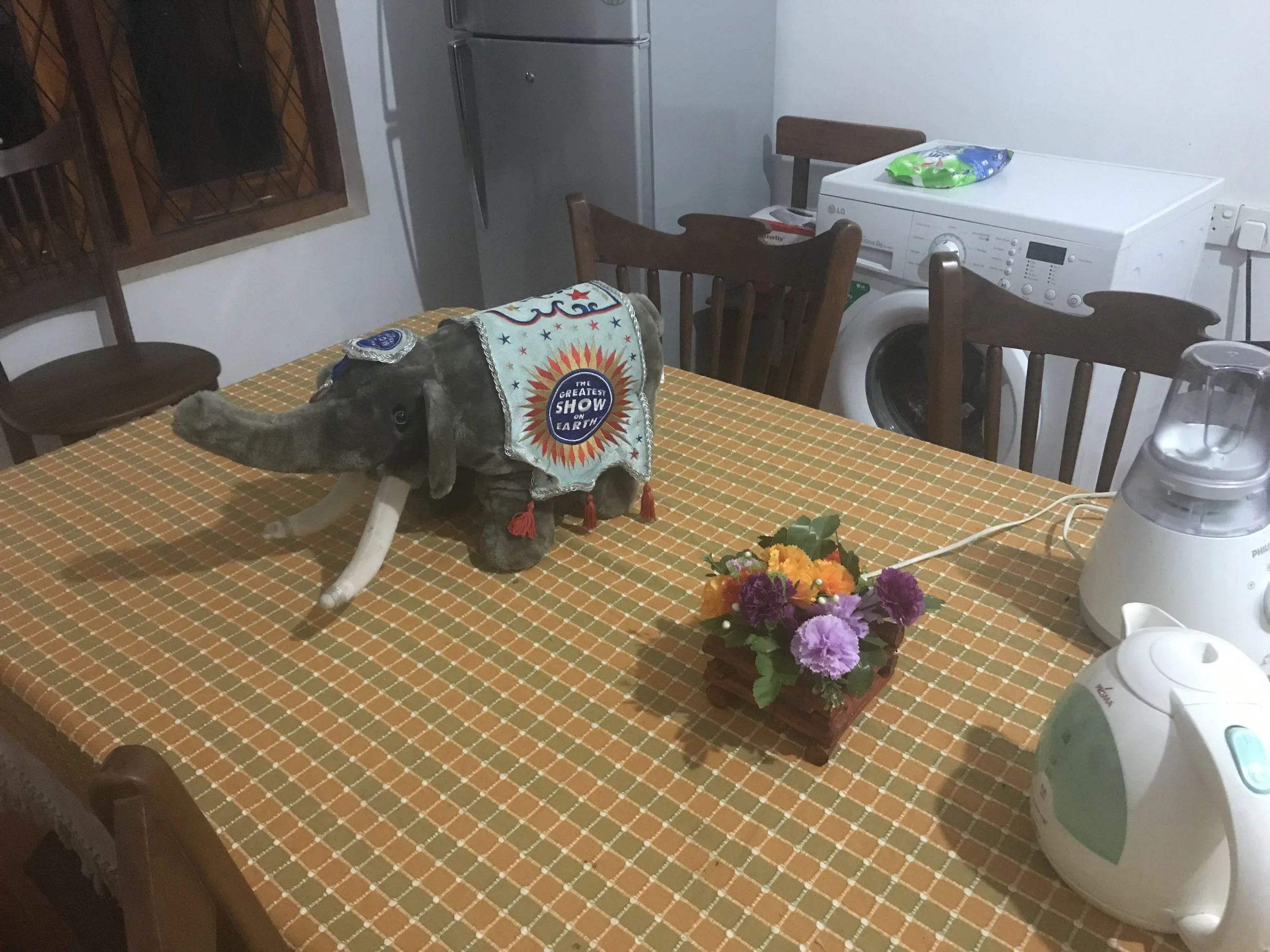The kitchen at the Ringling Bros. Center for the Study and Conservation of the Asian Elephant at Rajarata University. As if I needed another sign, I’m in the right place.