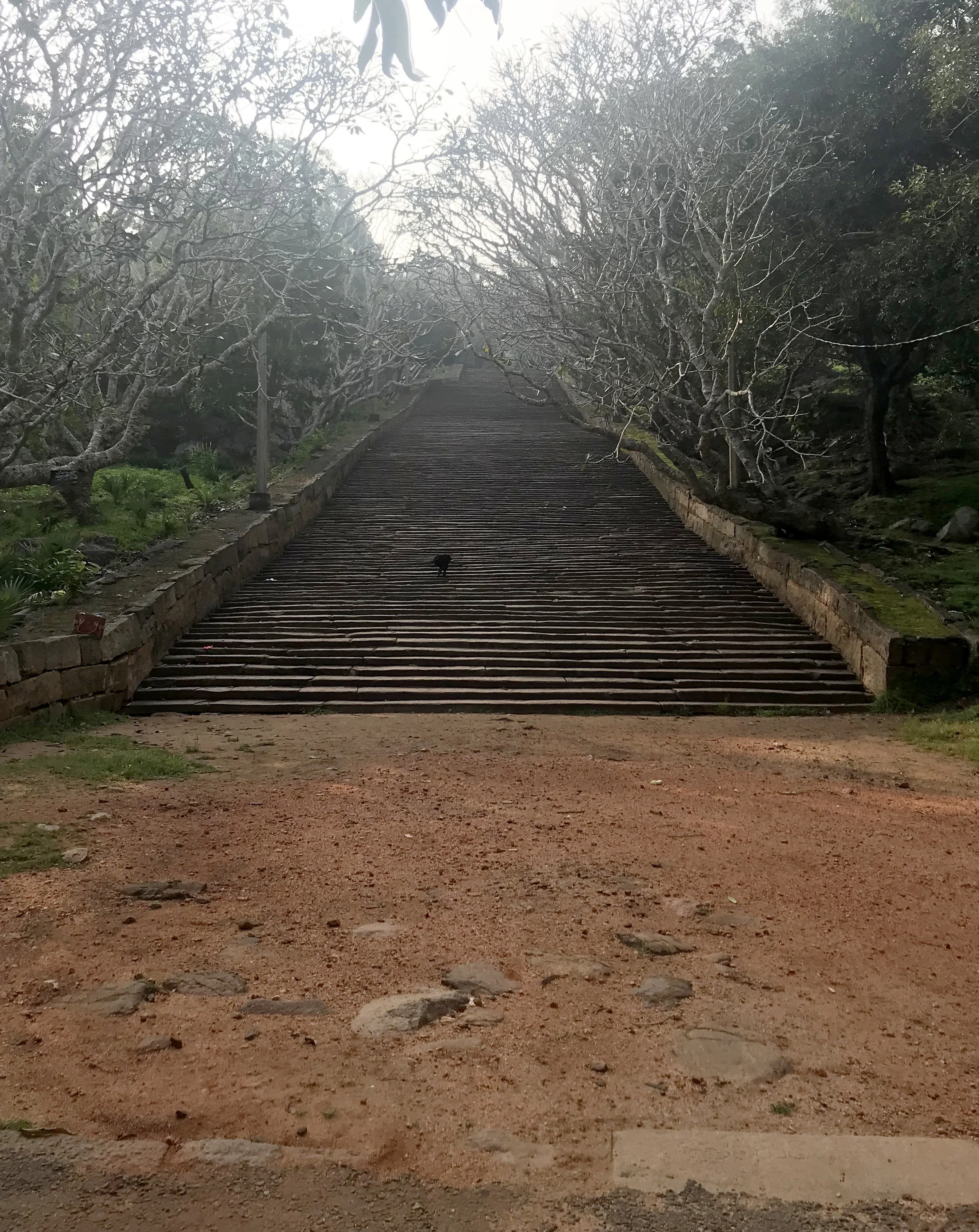 The steps at the base of Mihintale. Don’t let the low height of each step fool you into thinking this was an easy hike.