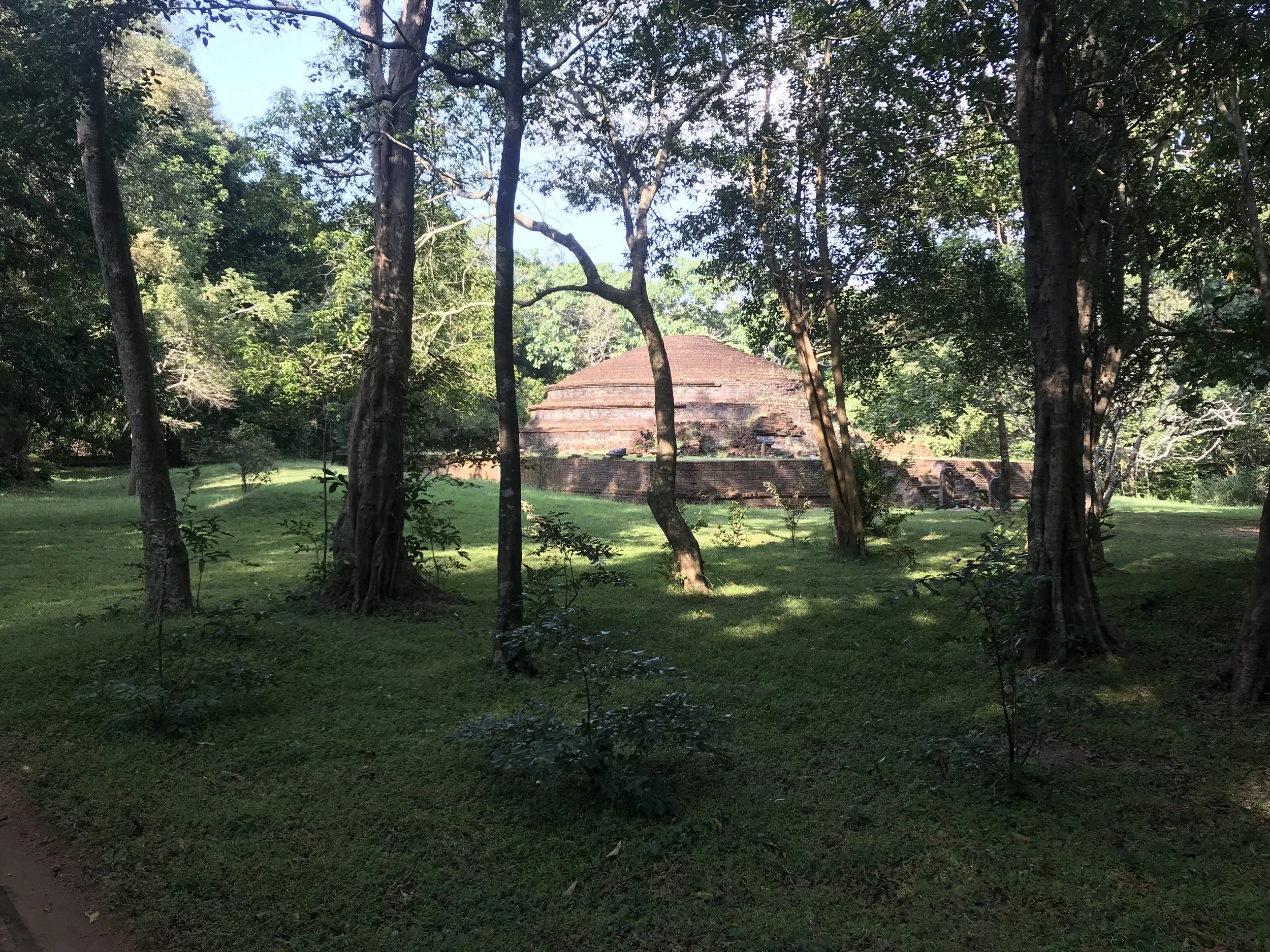 A dagaba (stupa) in the forest reserve where the primate project takes place.