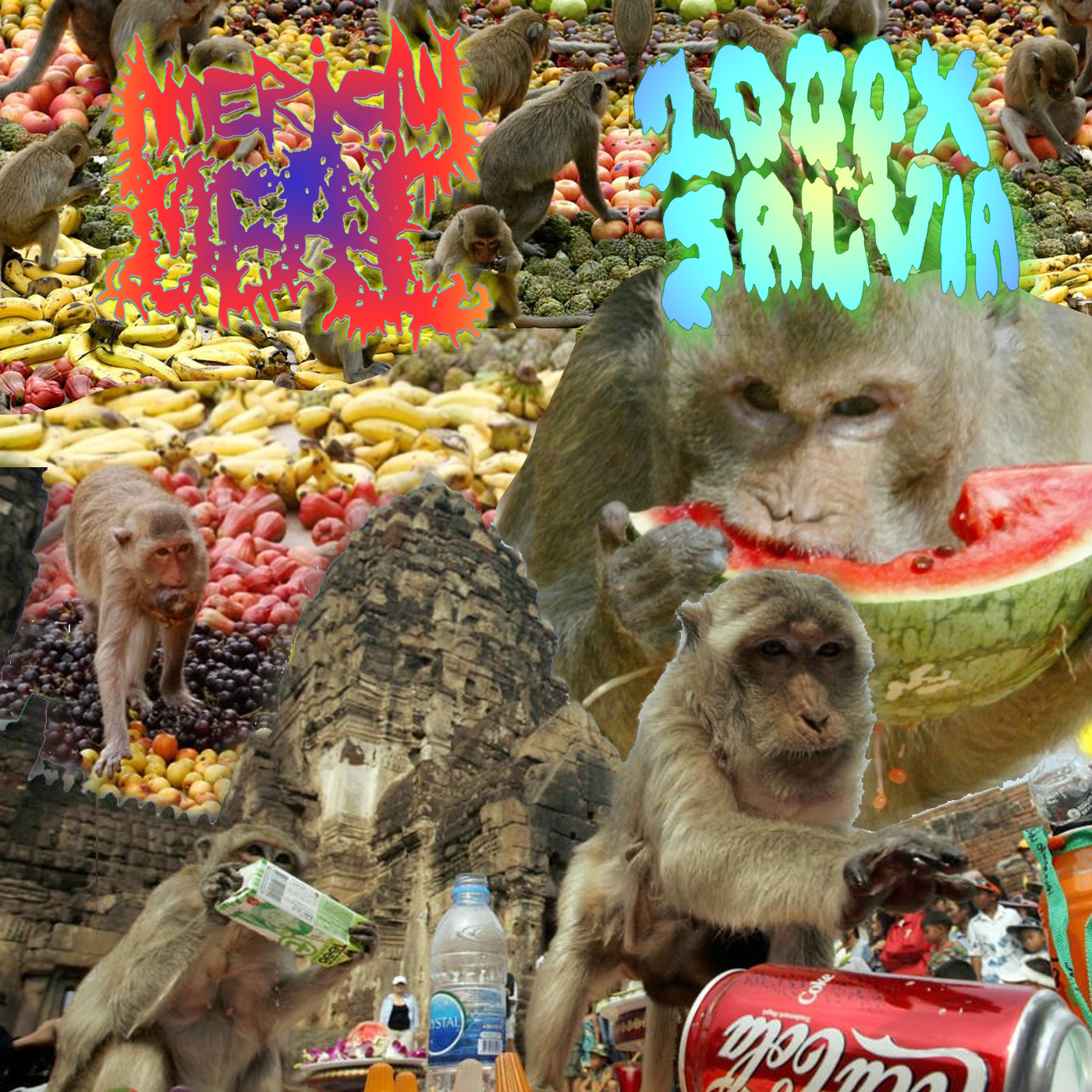 1000x split2.png